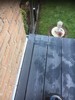 Dachterrasse_12